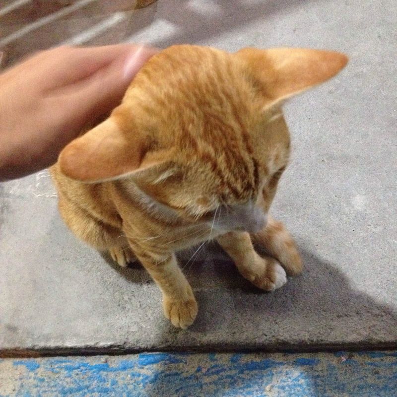 泰国天堂沙滩旅游,泰国天堂之城视频