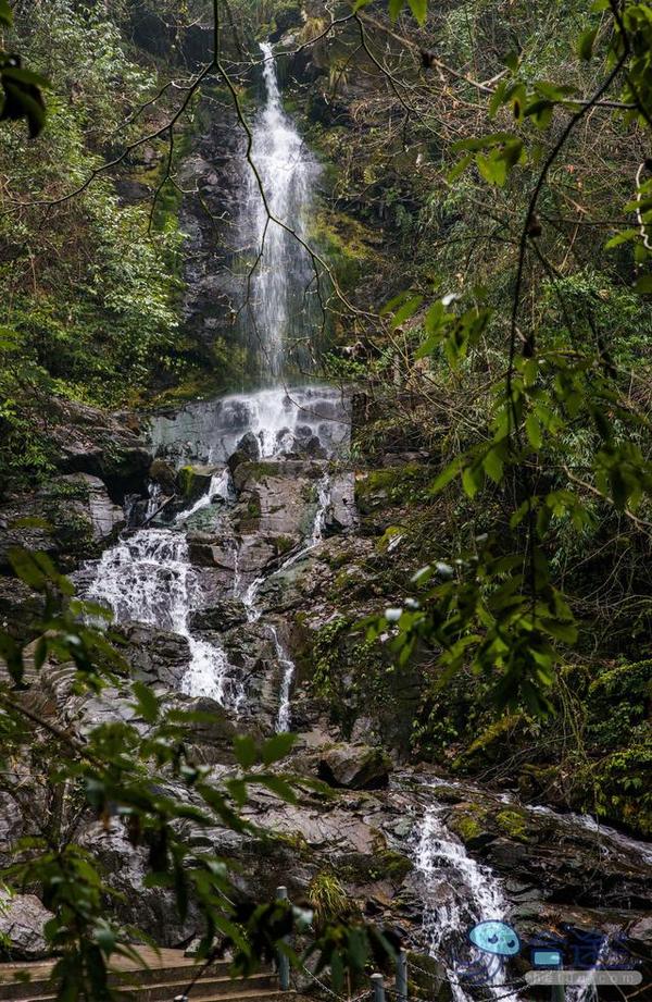 戏猴、爬山、观瀑布，那就跟我去卧龙谷！