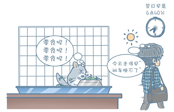 龙猫怎么才能不掉毛,龙猫挑食不吃主粮怎么办