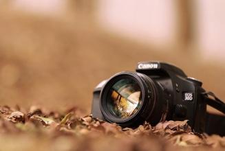 友情和爱情同时存在伤感文案,关于友情适合发qq空间的说说