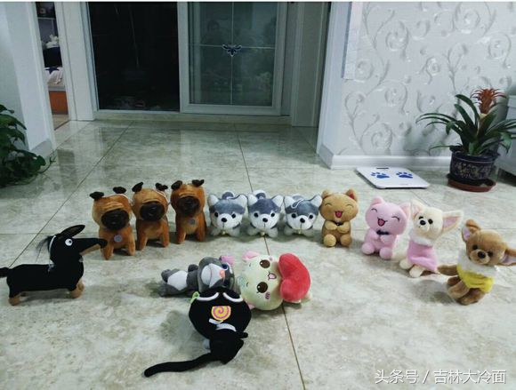 抓娃娃机技巧揭秘全攻略,娃娃机攻略靠谱可行的抓娃娃技巧