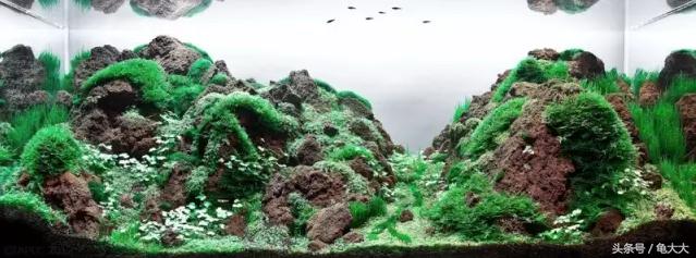 关于鱼缸的水质指标及水质检测、处理详解