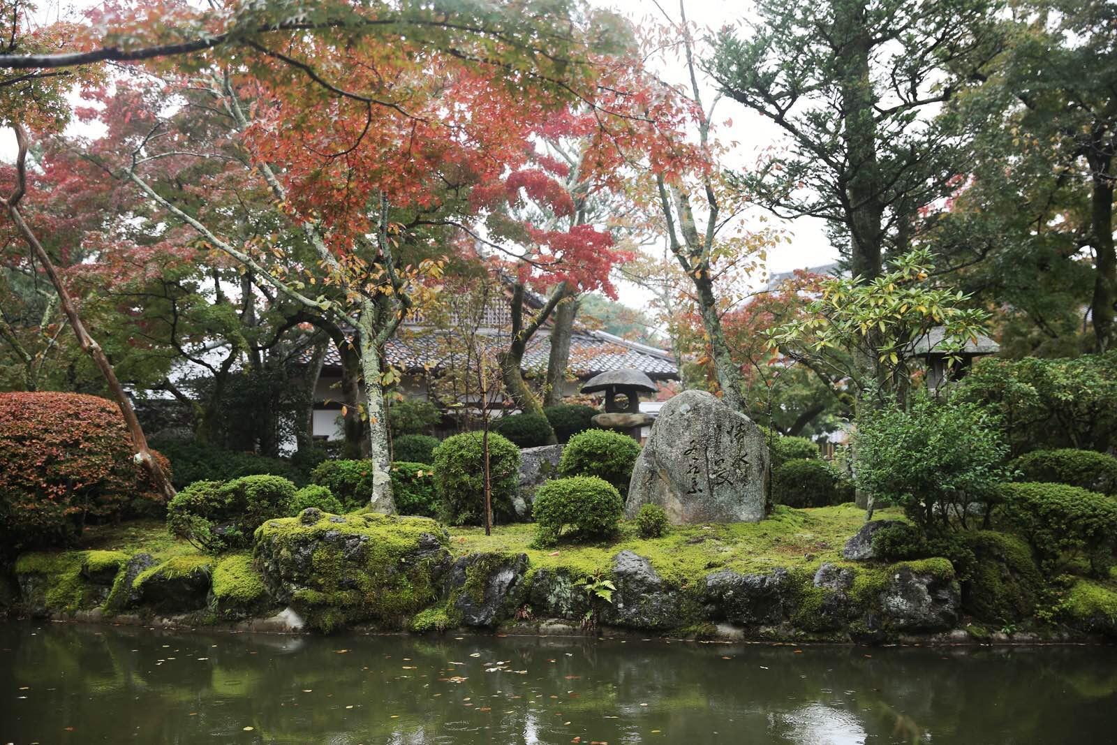 关西温泉六日游,大阪关西机场温泉