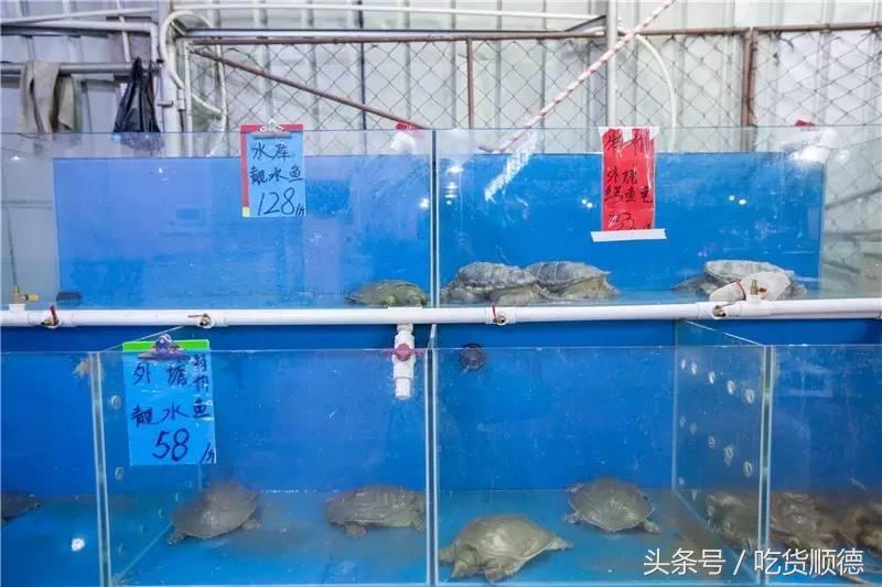 顺德有一家农庄,广东顺德生态农庄