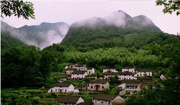 藏在深山无人识,石台县原始森林