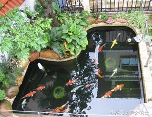 蒙眼是咋回事,眼蒙怎么办