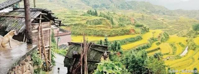 美食非常道最新一期,美食非常道现在叫什么