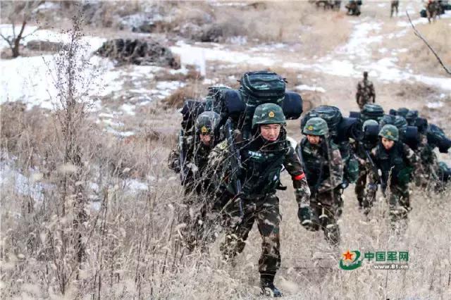 特战旅训练直播,特战特训营训练多久