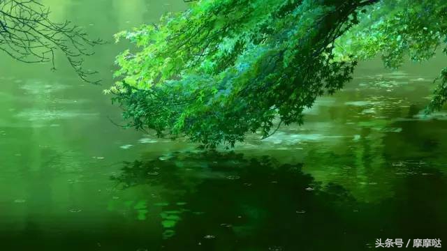 你的名字动画电影值得借鉴的地方,你的名字动漫电影获奖记录