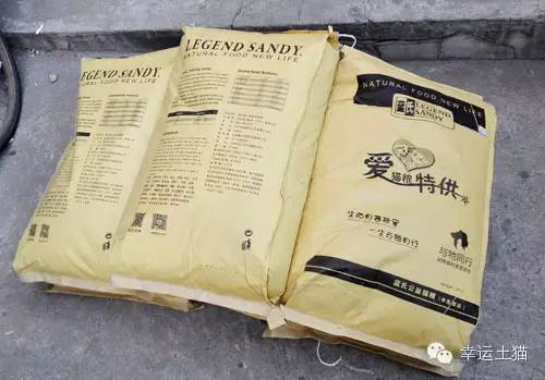 带喂了2年的流浪猫回家过年,公园里的流浪猫吃饱了