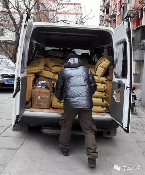 带喂了2年的流浪猫回家过年,公园里的流浪猫吃饱了