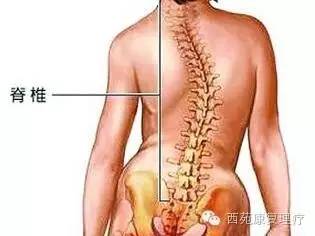 西苑康复理疗｜青少年脊柱侧弯的非手术治疗