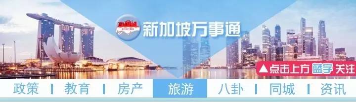 新加坡过圣诞节感受 (新加坡的春节怎么过)