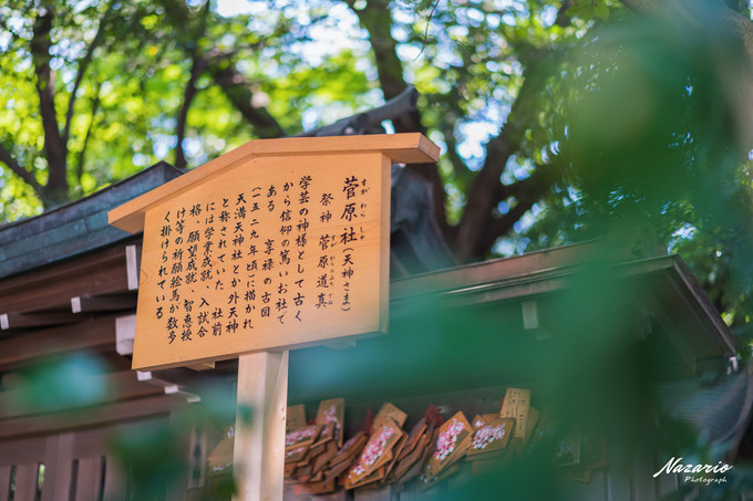 粉红猪小妹与小猪佩奇,粉红猪小妹的快乐生活