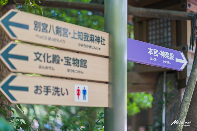 粉红猪小妹与小猪佩奇,粉红猪小妹的快乐生活