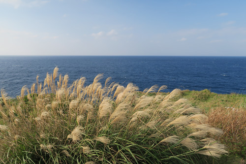 DONOTRUNCRAZYINTOTHATSUN-DAY