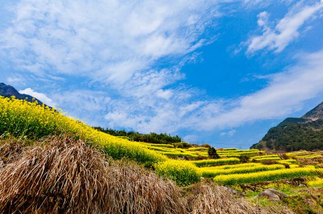 您的2016已不足8%！这篇攻略请mark好，明年60天假期妥妥的！