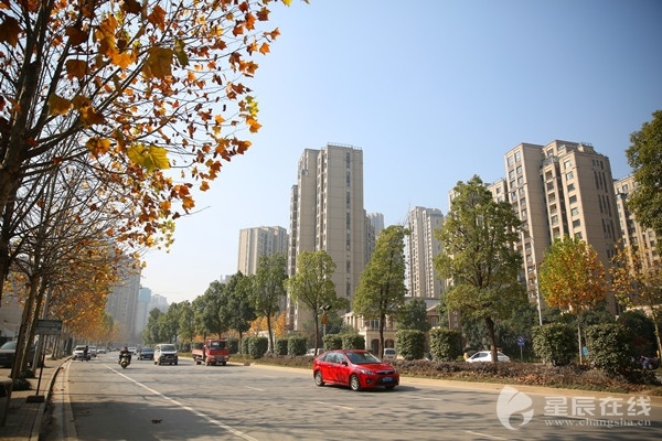 长沙梅溪湖的前世今生,梅溪湖图片