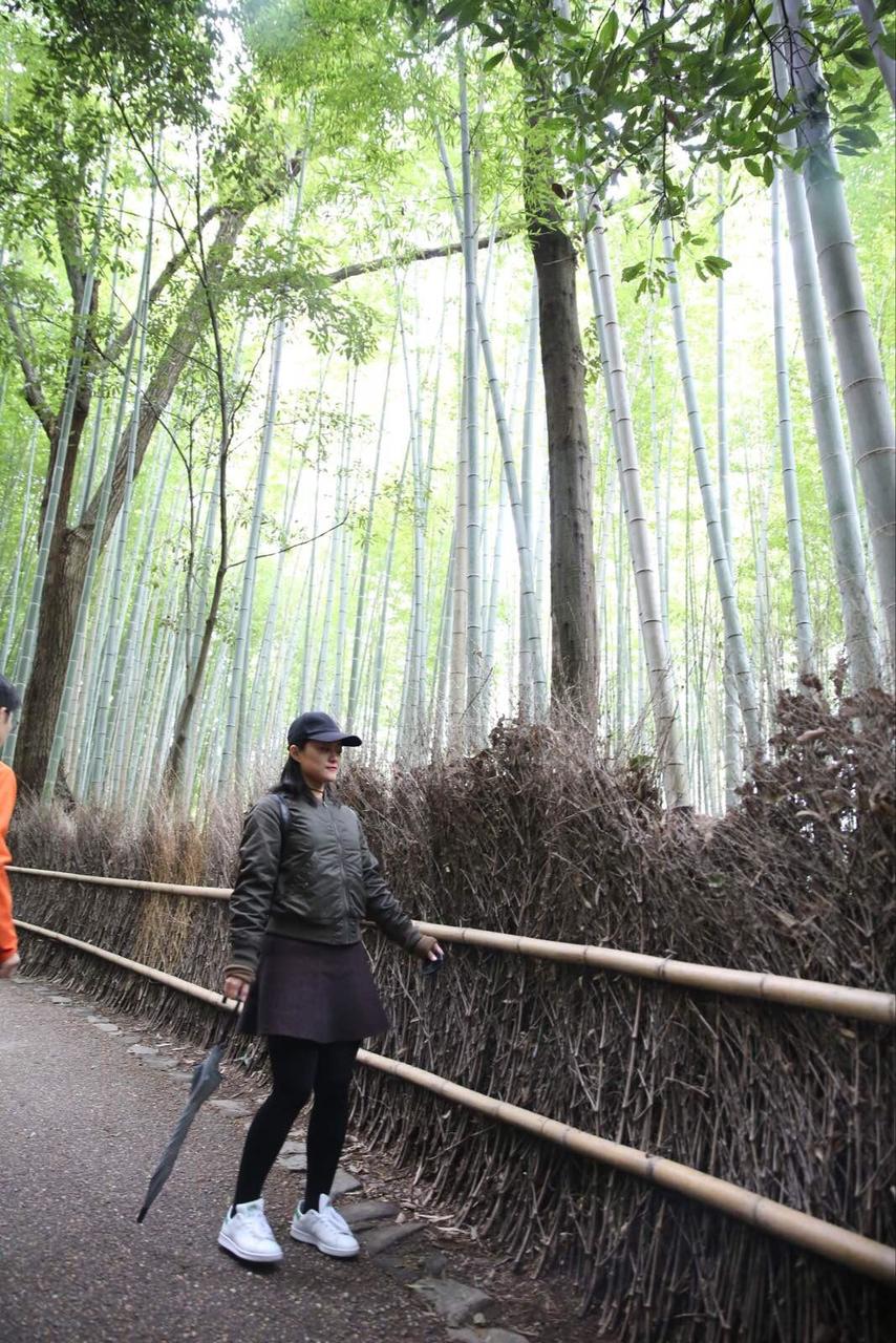 关西温泉六日游,大阪关西机场温泉