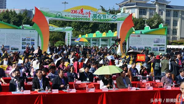 连州菜心拍卖最高价,至尊连州菜心什么价