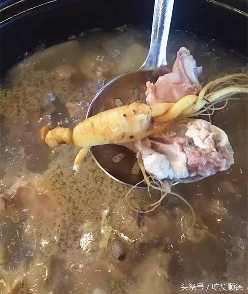 顺德有一家农庄,广东顺德生态农庄