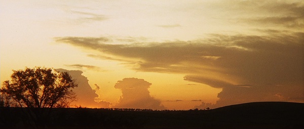 一群人去非洲旅游，既然被土著人*杀虐**，而且还……