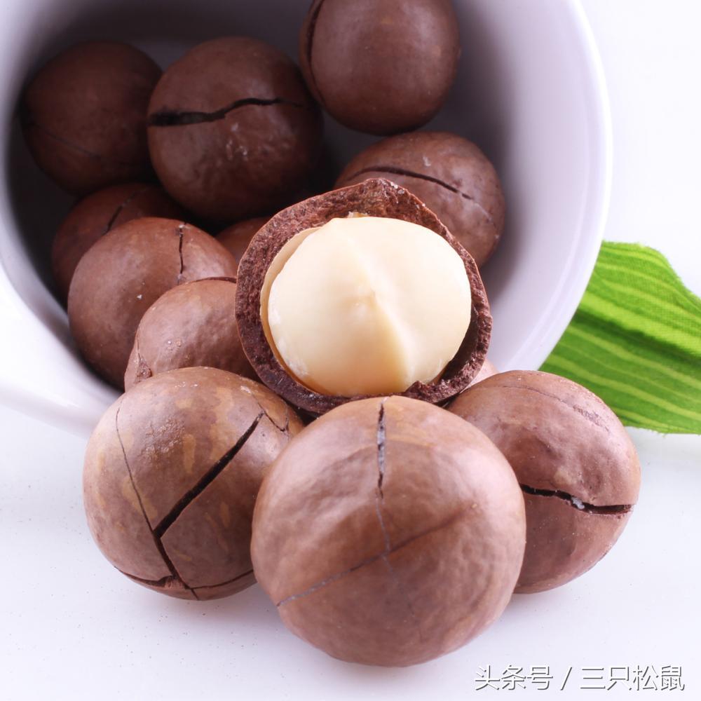 夏威夷果生果和干果的区别,夏威夷果是怎么来的