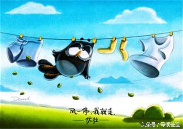 治愈系良方解救你的空虚寂寞冷