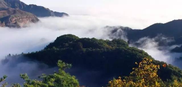 各个省份选美大赛,甘肃选美大赛冠军