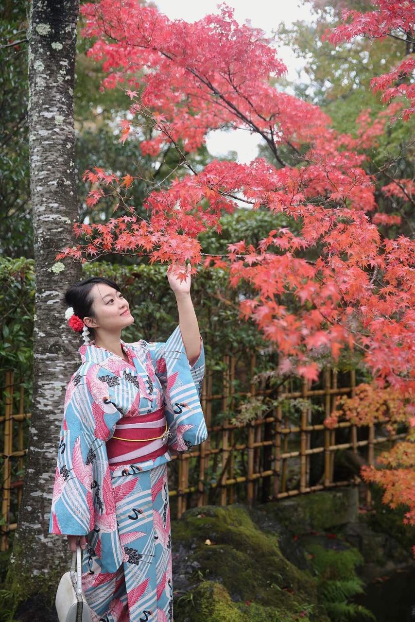 关西温泉六日游,大阪关西机场温泉