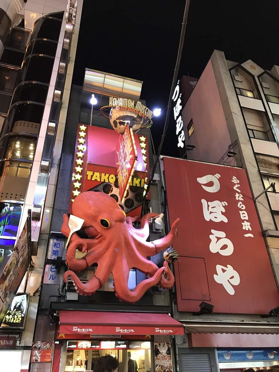 关西温泉六日游,大阪关西机场温泉