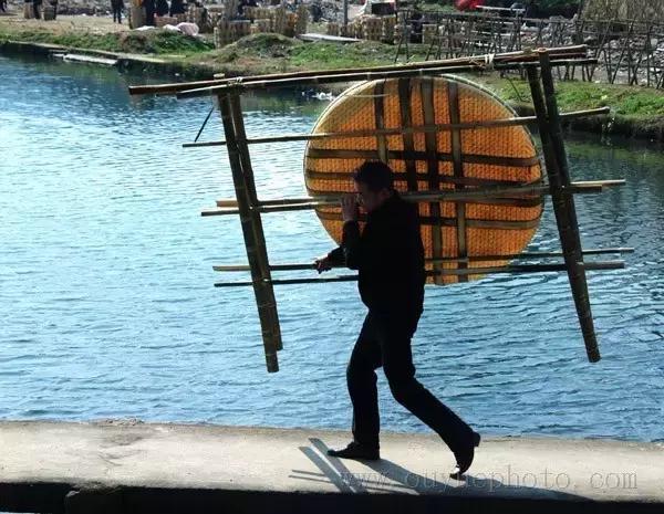 哇！一年后的瓯海瞿溪，竟然美得如此惊艳！