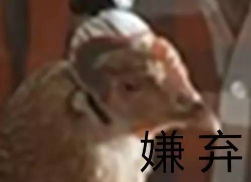 作为摄影师的“鸡”，你必须扛得起相机、拍得了防抖视频！