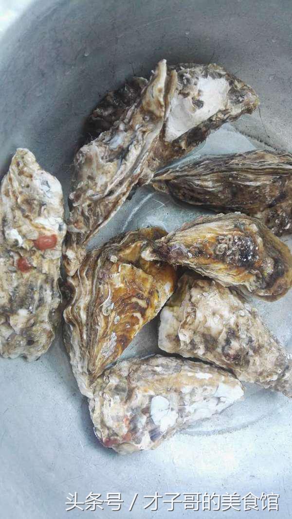 牡蛎生蚝的正确吃法,生蚝最好吃的几种做法呈现过程