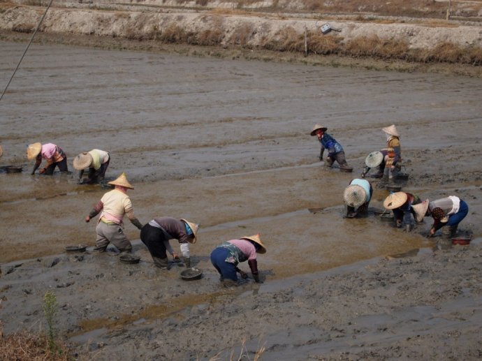 下雨天农村泥巴路穿雨鞋,下雨天农村泥巴路穿水鞋