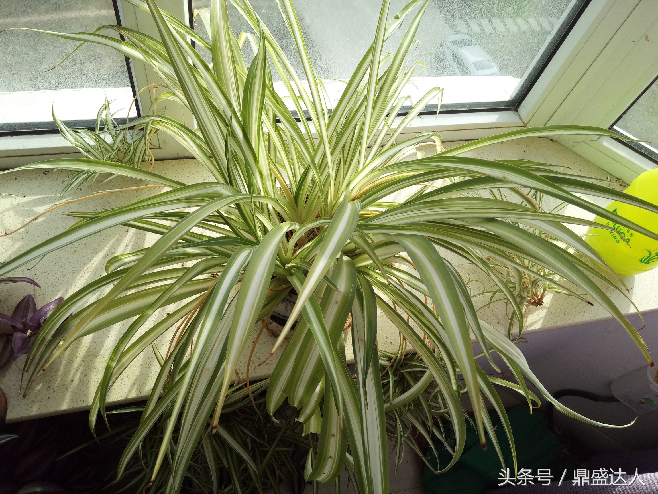 北方的冬天歌曲,北方的冬天原唱