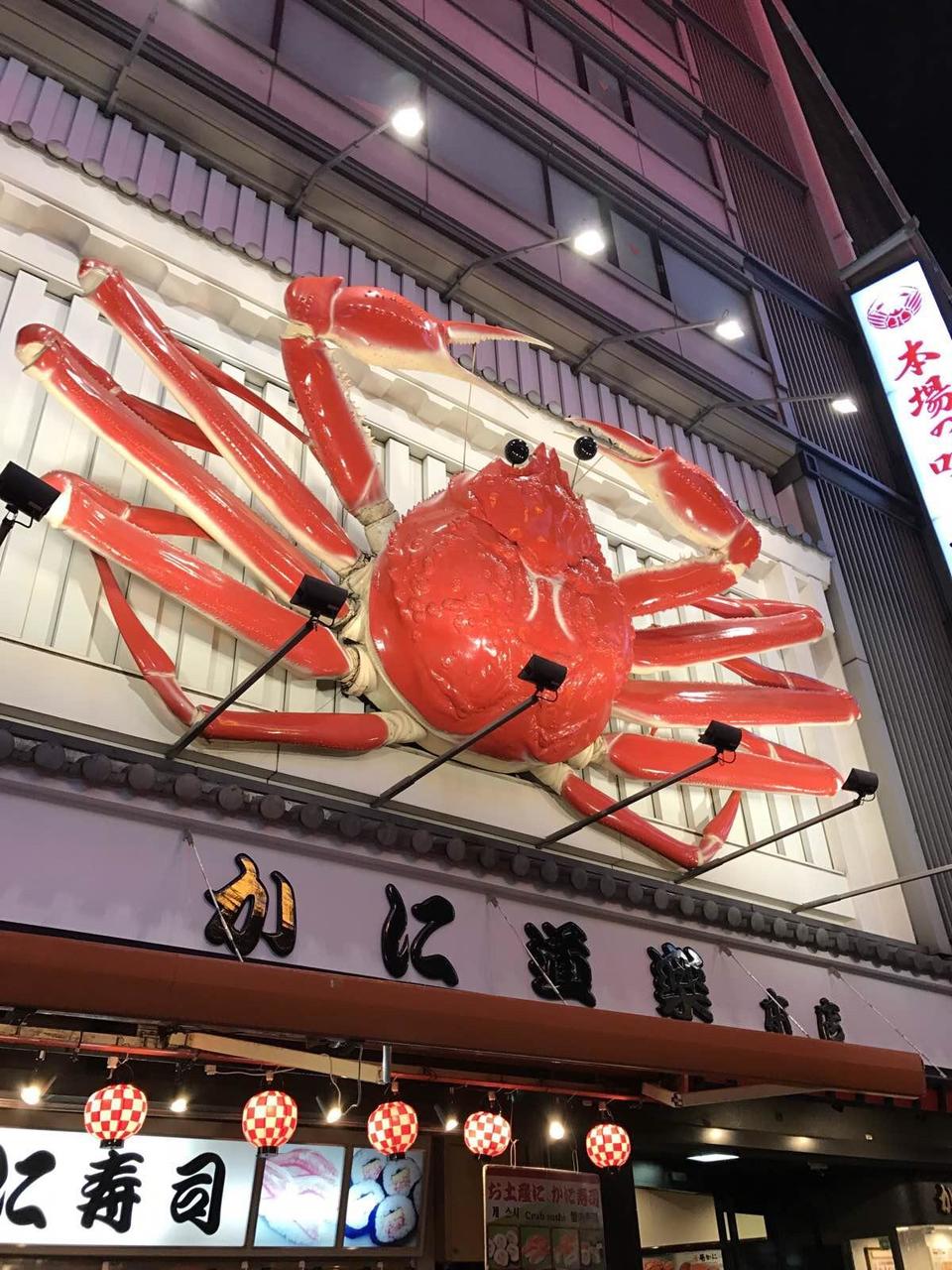 关西温泉六日游,大阪关西机场温泉