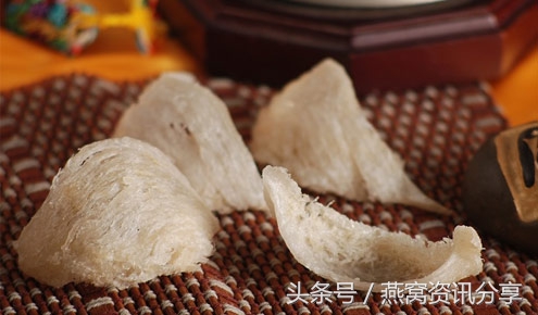 燕窝最全百科知识,燕窝科普类趣味短视频