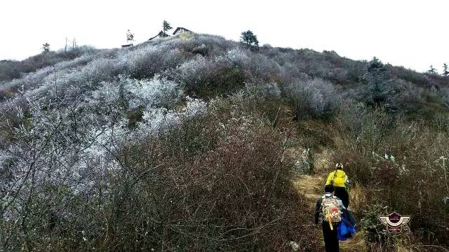 成都夏季适合徒步登山,成都初级雪山徒步