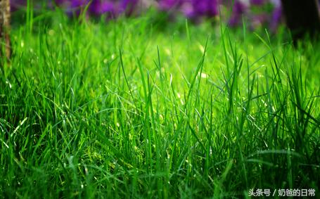 小孩突然失语不能动过一会恢复,宝宝突然晕厥失去意识