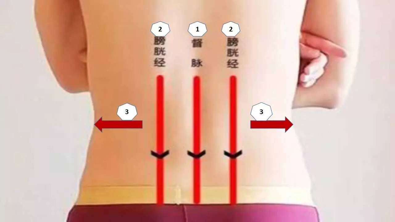 养肾健康第一重要,养肾三大秘法