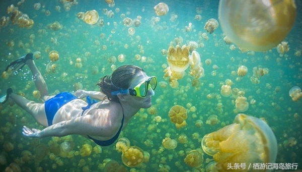 潜水推荐国内,适合潜水的海岛