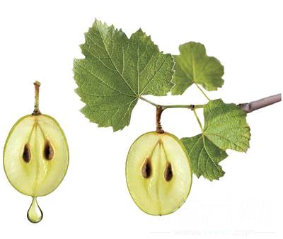 深扒｜十款超人气口服美容品，由内而外变美，就问你要不要！