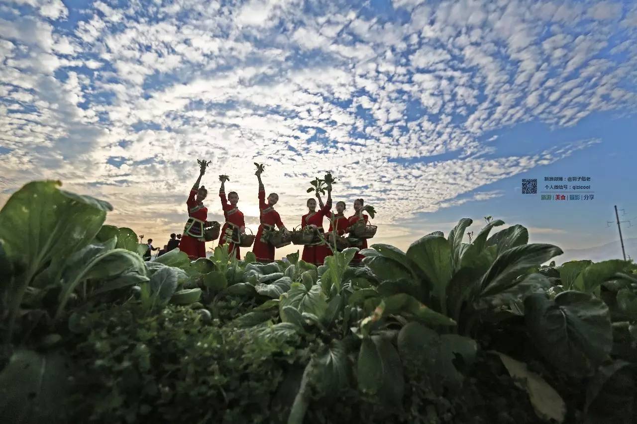 去清远连州怎样最方便,广东连州攻略