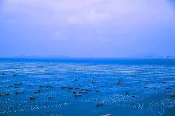 没雾霾适合生活的城市,没有雾霾