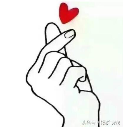 虹桥一姐爆红视频,虹桥一姐现在怎么样了