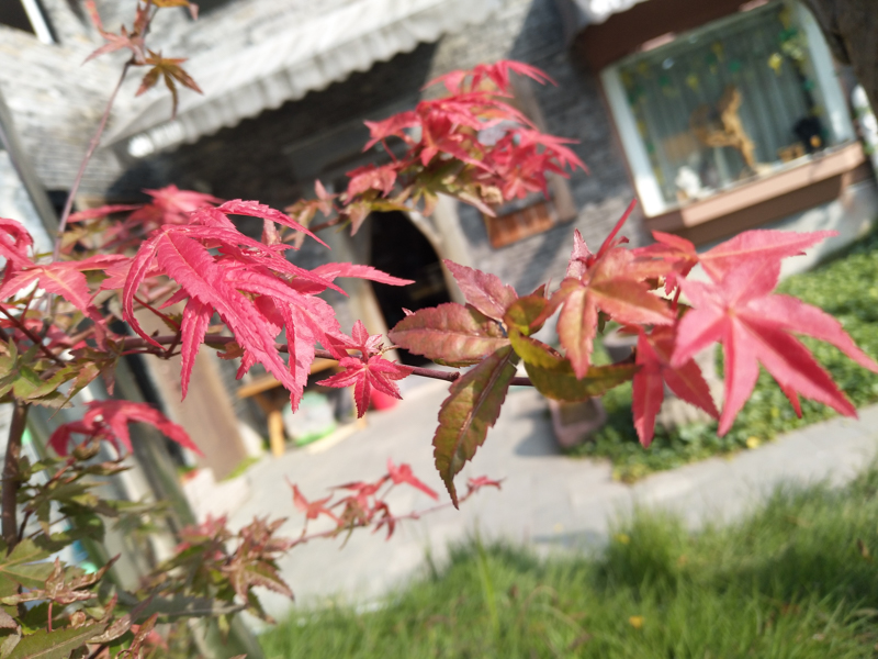 它有的不仅仅是双摄！vivoX9两周使用体验谈