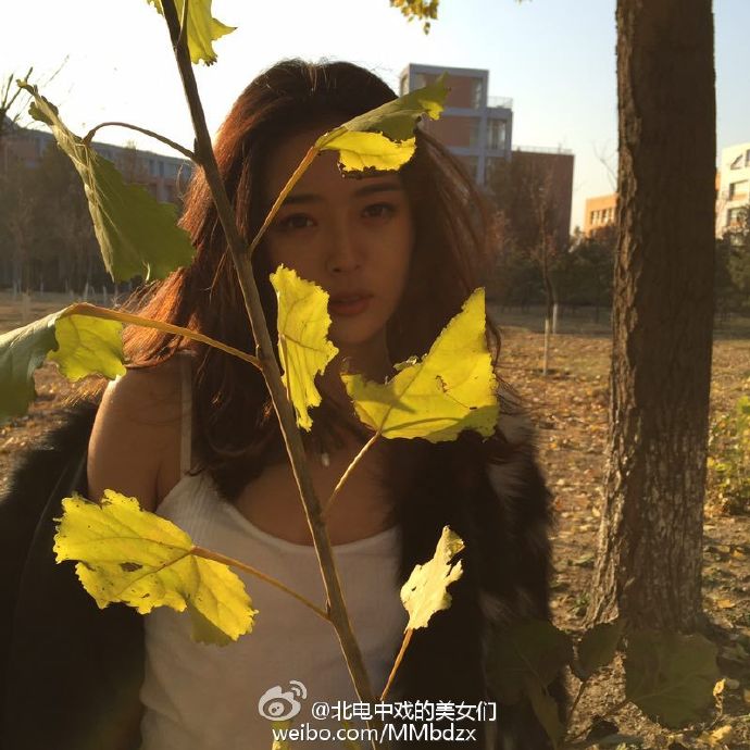 漂亮空姐气质迷人,美丽空姐图片