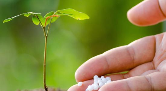 致富好项目有哪些,致富有啥好点子