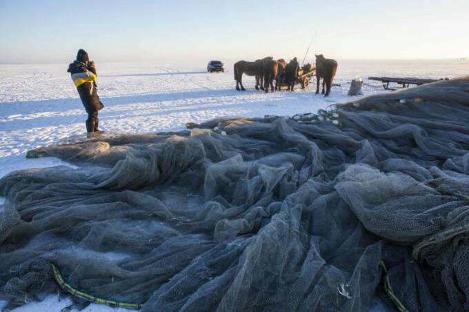 查干湖冬捕纪录片全集,查干湖冬捕地点在哪里